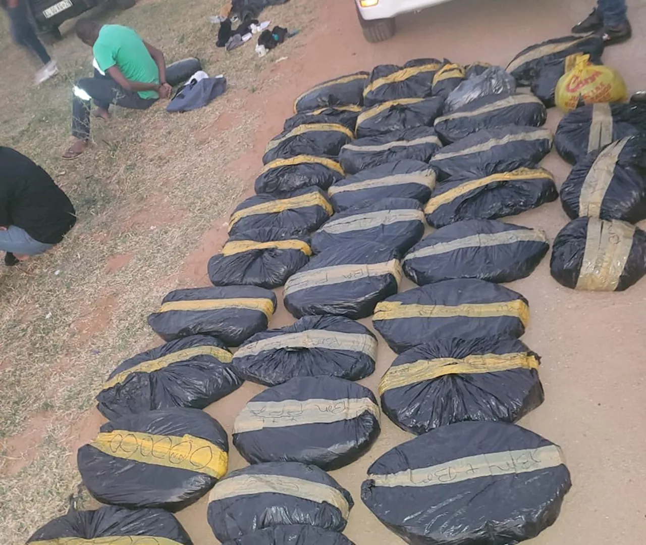 SAPS officers nabbed while escorting massive dagga haul in Mpumalanga - SABC News