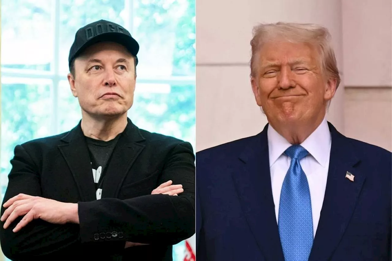 Musk: Some of my posts vs Trump 'went too far'