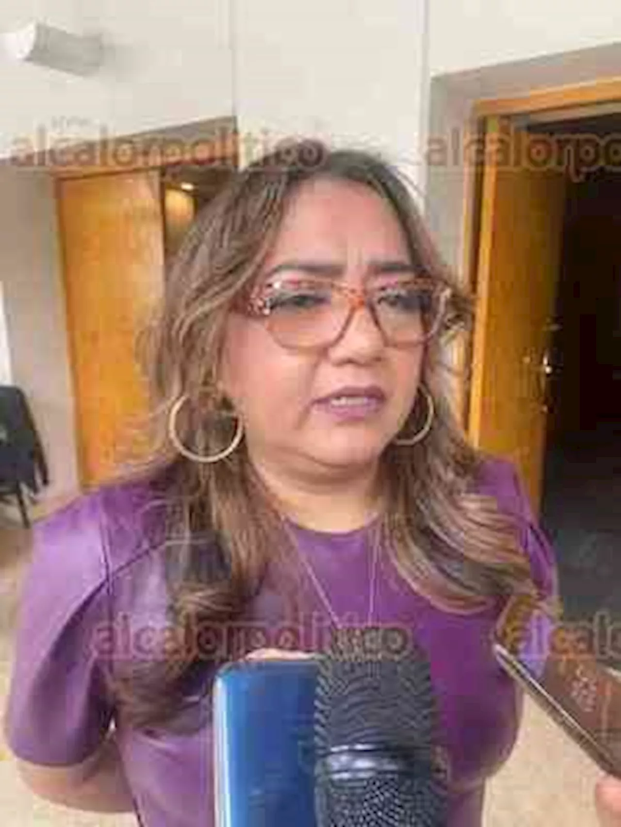 Investigará el OPLE Veracruz “caída” del sistema de cómputo de elección judicial