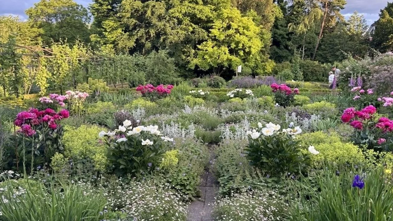 Zweite Ausgabe von «Holy Wow!» im Klostergarten Dornach