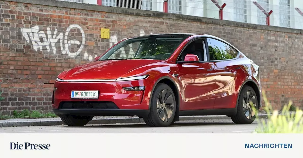 Tesla Model Y, mit großem oder kleinem Akku?