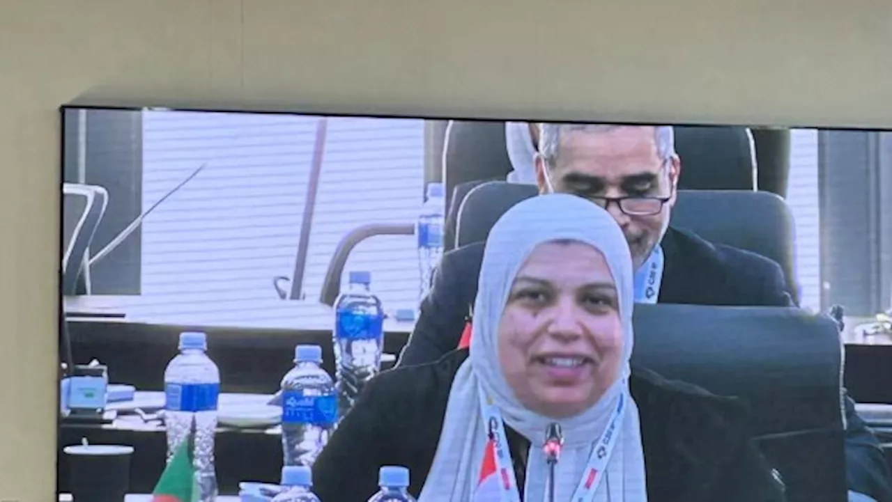 وفد وزارة التعليم العالي يشارك في اجتماع G20 البحثي بجنوب أفريقيا