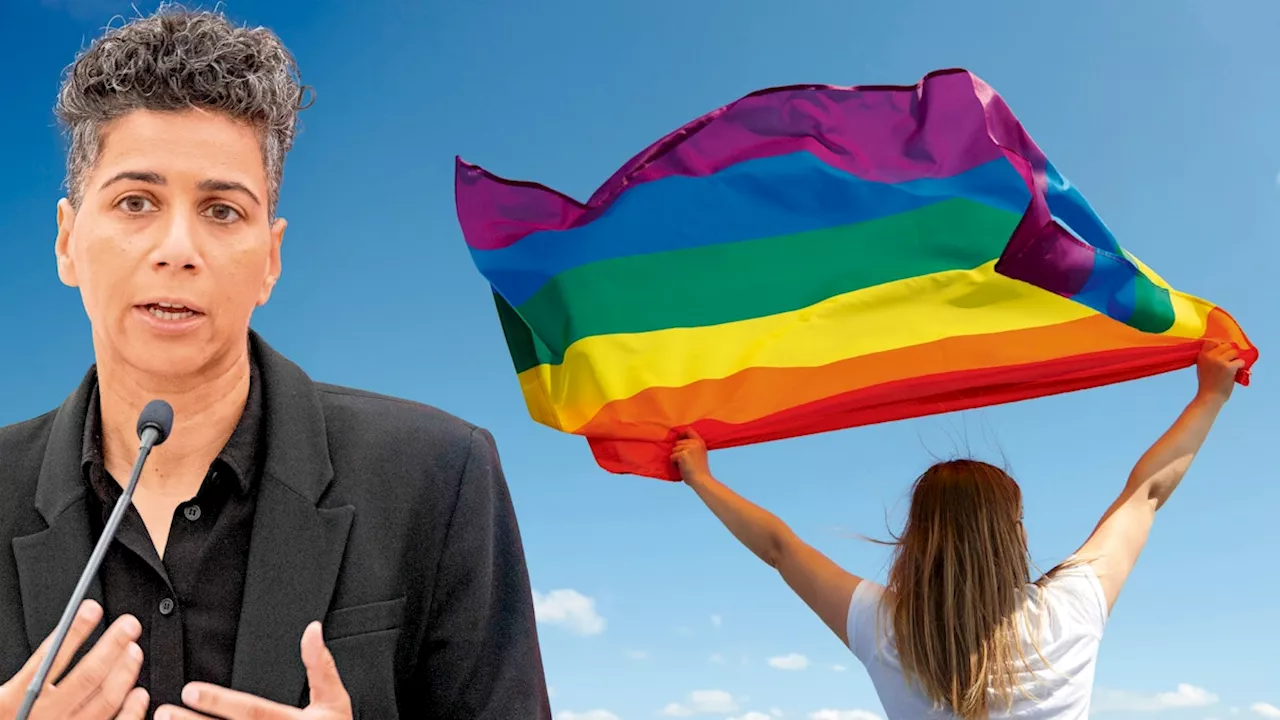 El-Nagashi verlässt Partei - Knallhart-Abrechnung mit queeren Grünen
