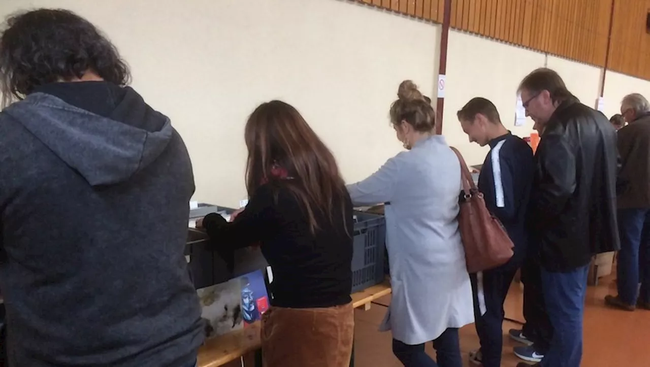 Une foire aux disques en Aveyron fait revivre le vintage avec des milliers de disques, CD et cassettes disponi