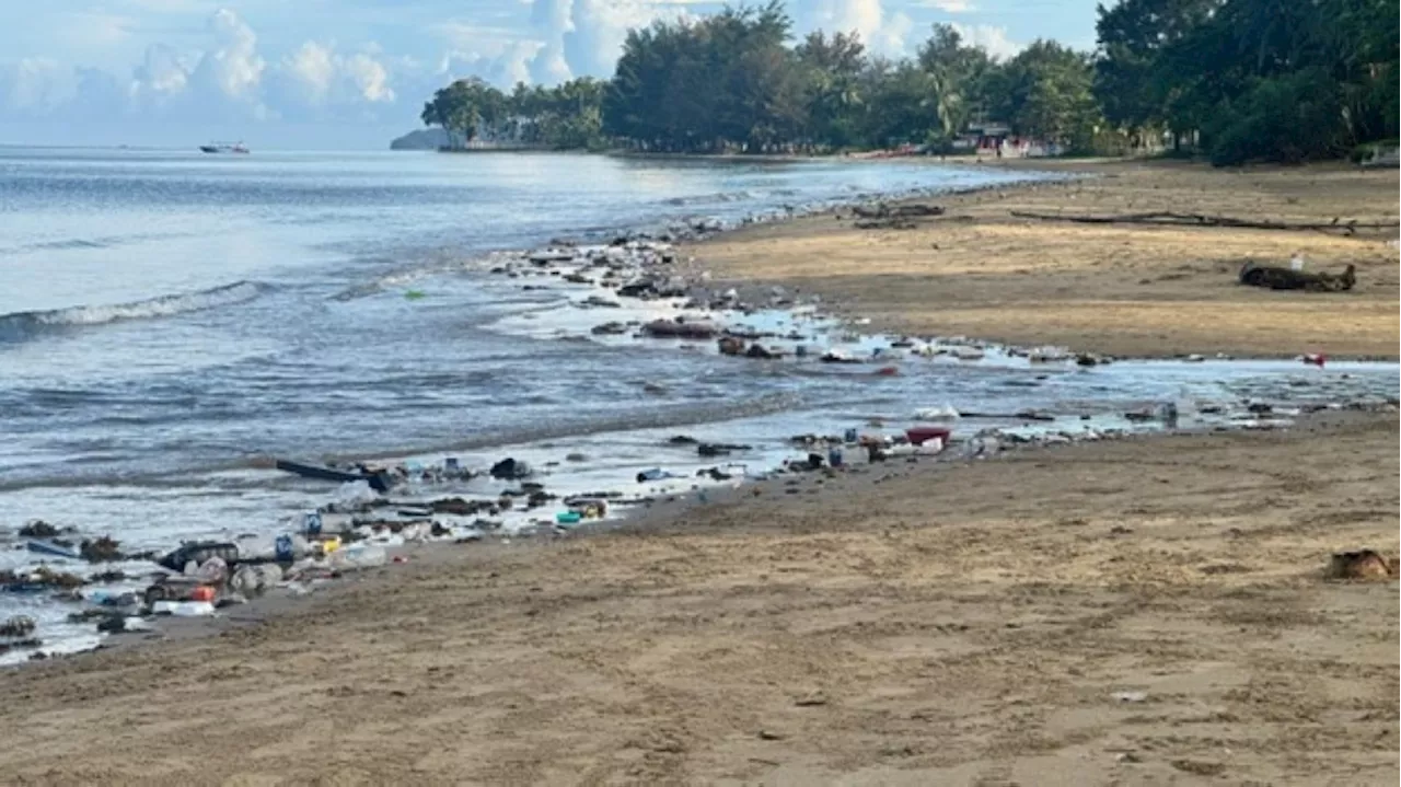Trash trouble in Sabah: Waste, pests and health risks plague tourist hotspots