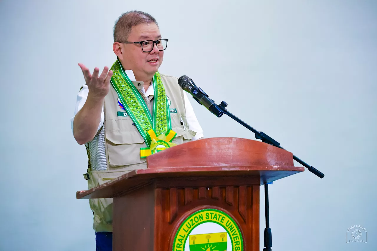 DA supports gradual rice tariff increase