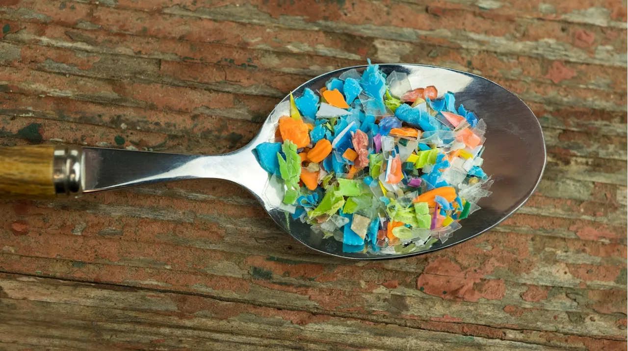 Nanoplastics reshape gut microbiome, weakening gut defenses