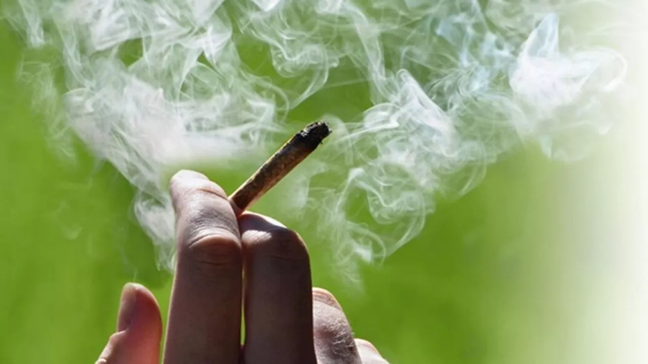 Cannabis in Überraschungseiern verkauft: Haftstrafe für 40-Jährigen