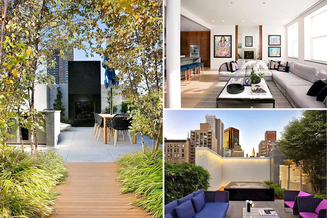  Soon-to-list NYC penthouse comes with rare outdoor perks -- including more than a dozen birch trees