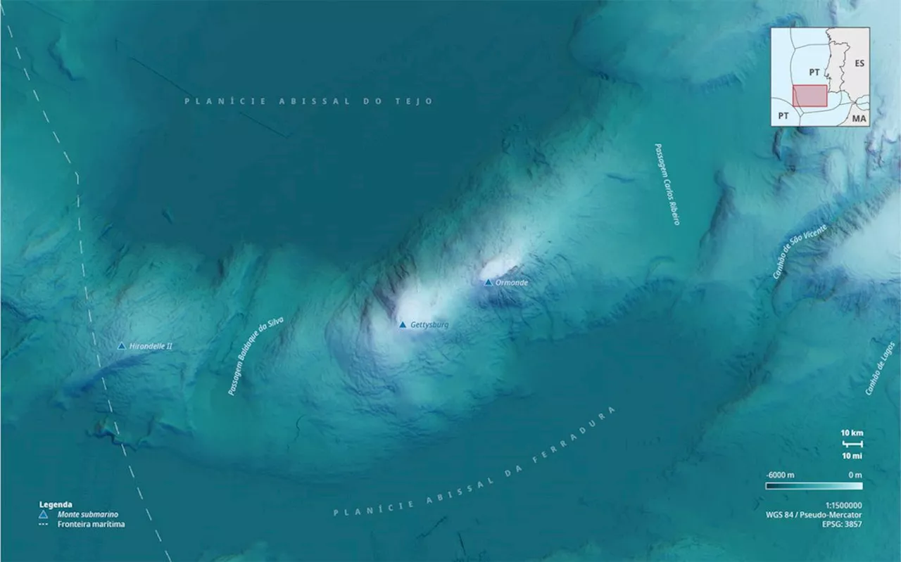 Portugal leads marine protection with new designated area