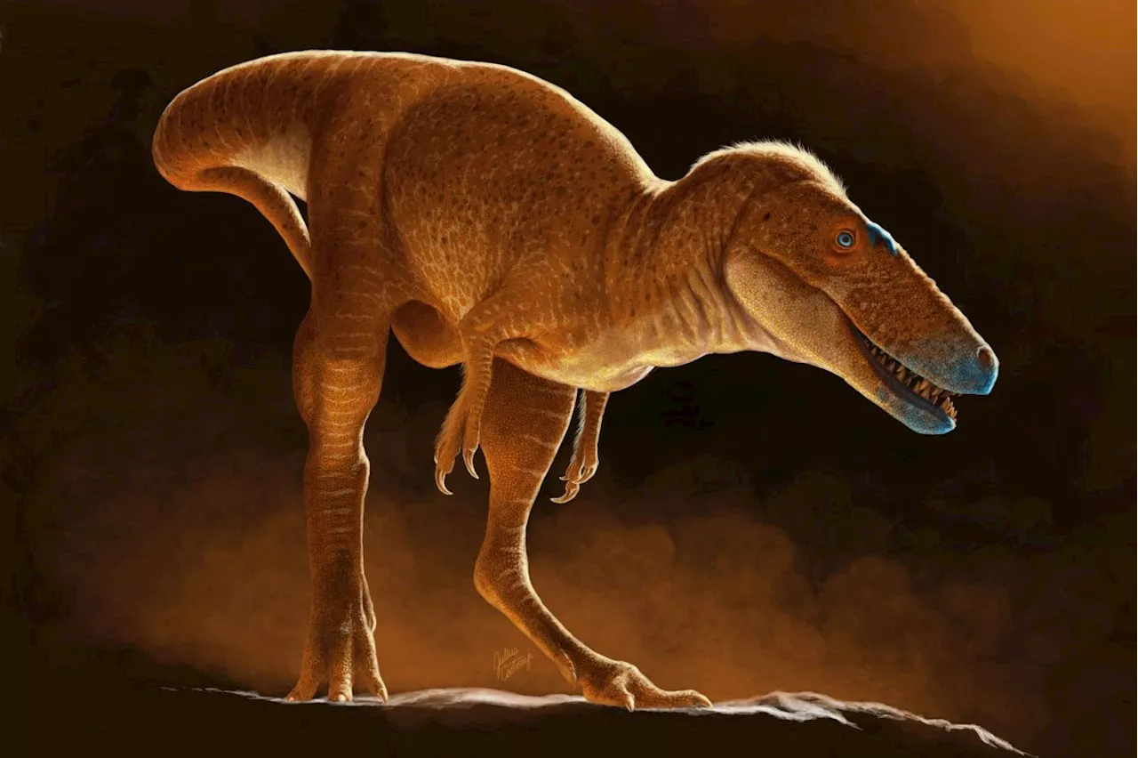 Mongolia's 'Dragon Prince' dinosaur was forerunner of T. rex