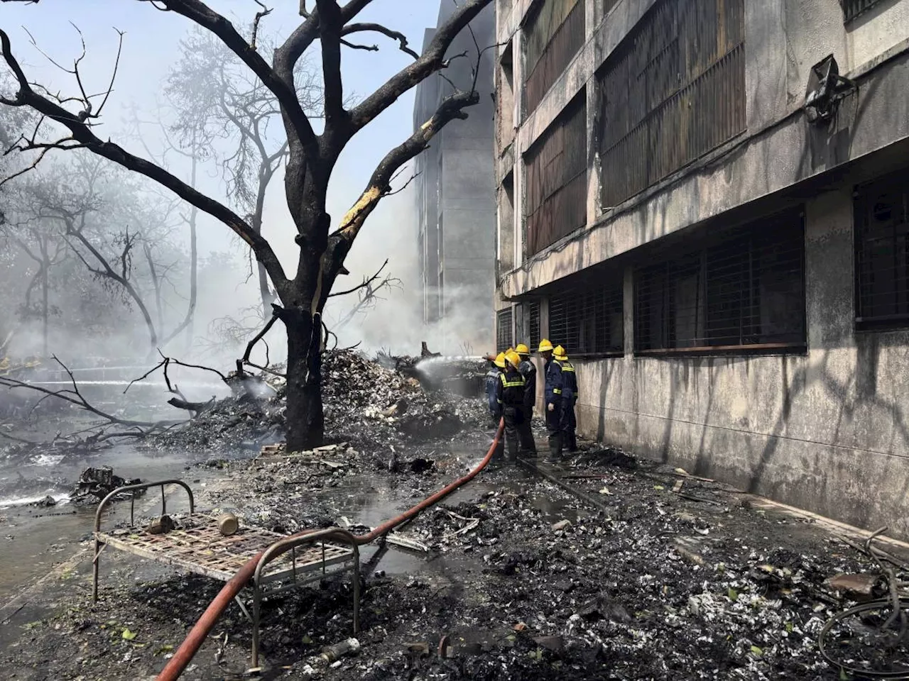 Air India passenger plane with 244 aboard crashes in Ahmedabad City