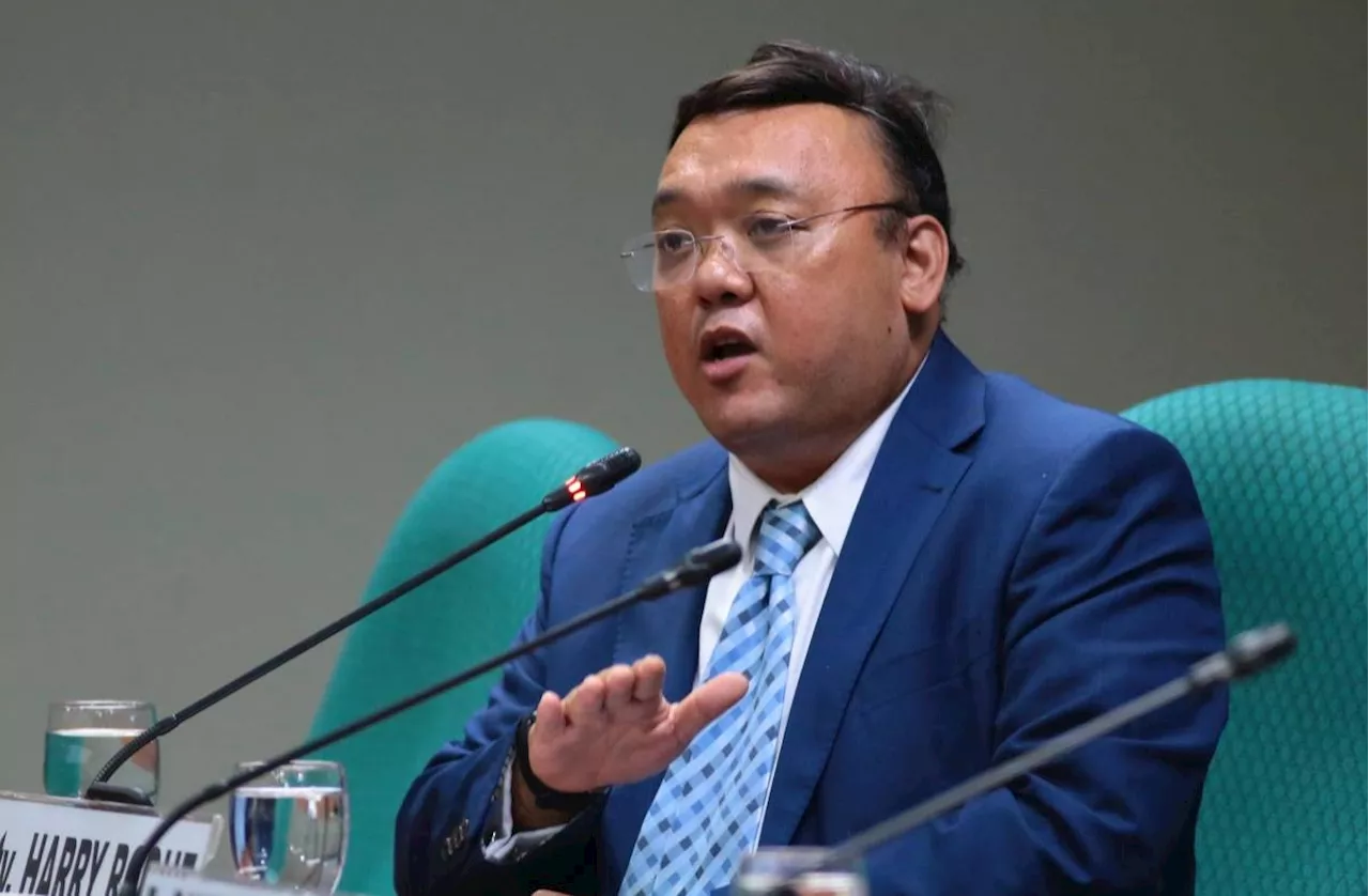 Germany takes over Roque asylum bid; ex-spokesman calls it 'fake news'
