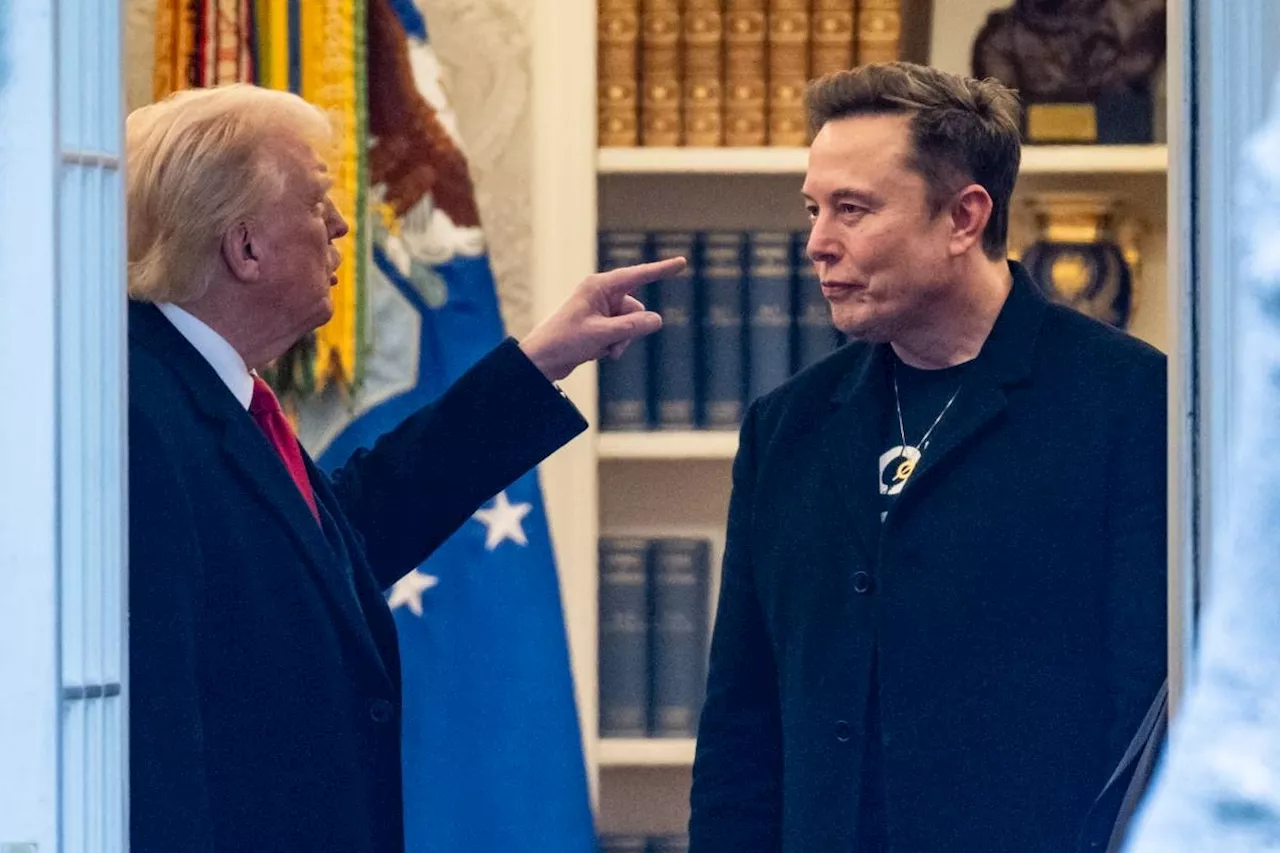 Musk regrets some of his Trump criticisms, says they 'went too far'