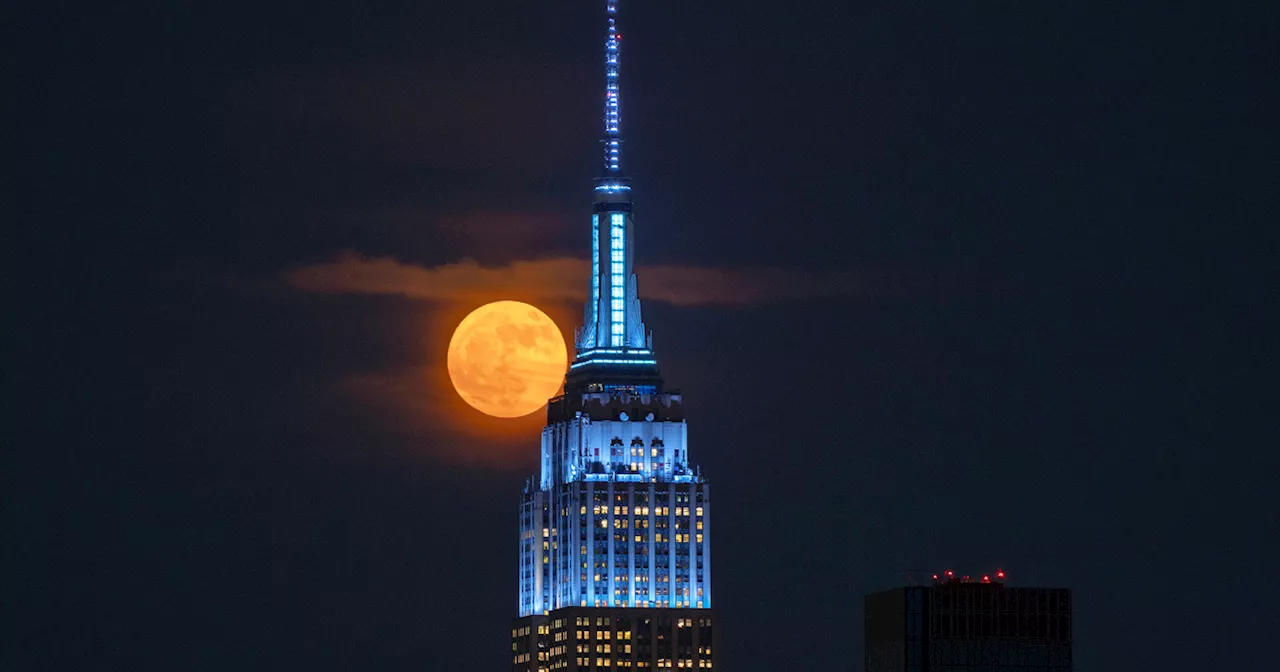 After June's Strawberry Moon, When Is the Next Full Moon?