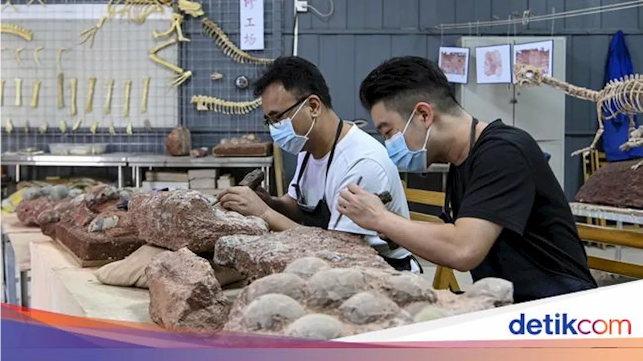 Jejak Zaman Jurassic: Mengapa Fosil Dinosaurus Sering Ditemukan di China?