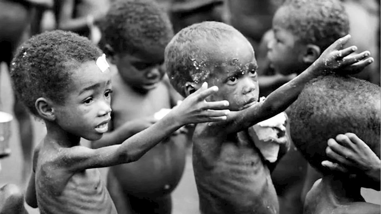 EU allocates N900 million to combat malnutrition in North-east Nigeria
