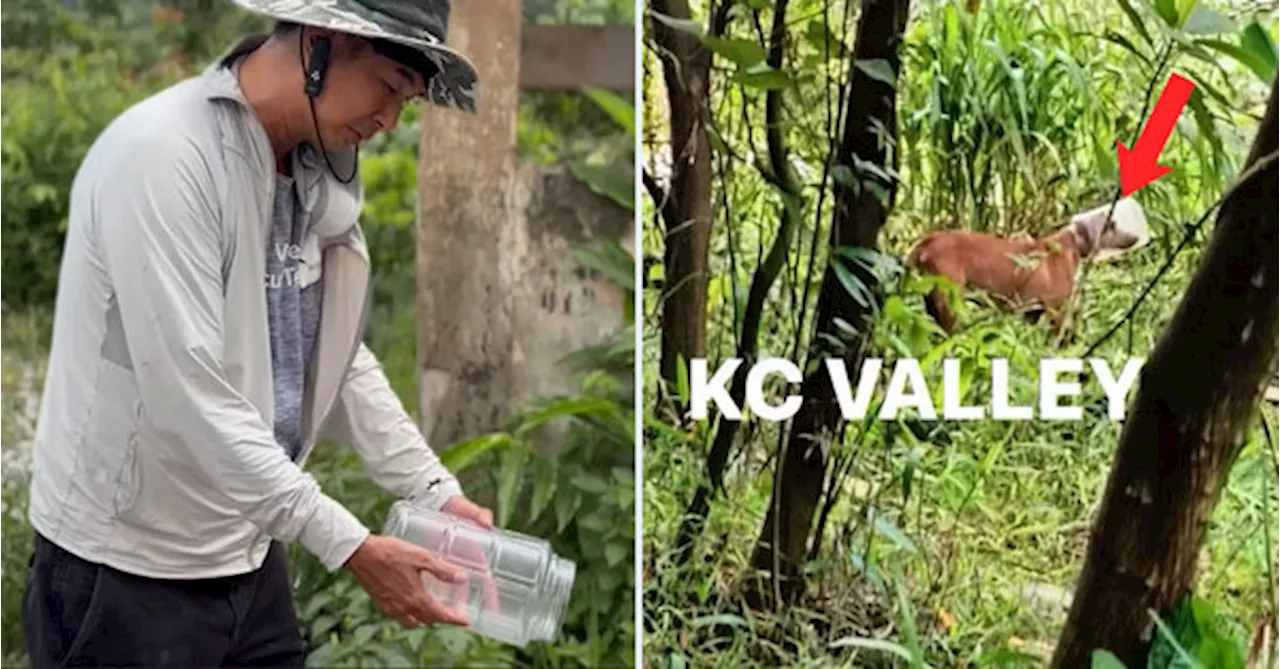Animal NGO Urges Public To Crush Plastic Containers Before Disposal To Protect Strays