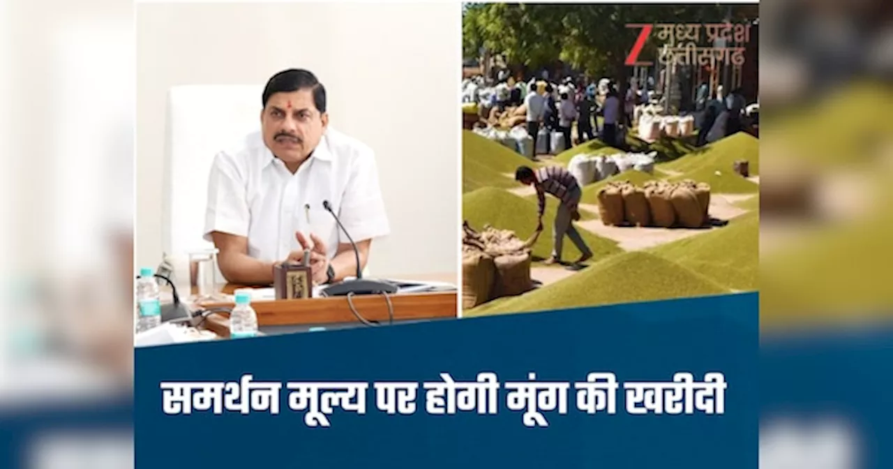 तैयार हो जाएं किसान!, मूंग-उड़द की होगी सरकारी खरीदी, इस दिन से होंगे रजिस्ट्रेशन