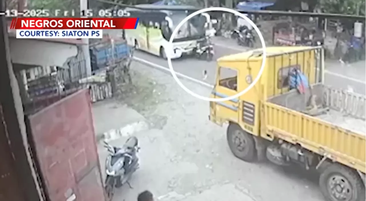 Rider, patay nang makasagasa ng tumawid na aso at mabangga ng bus sa Negros Oriental