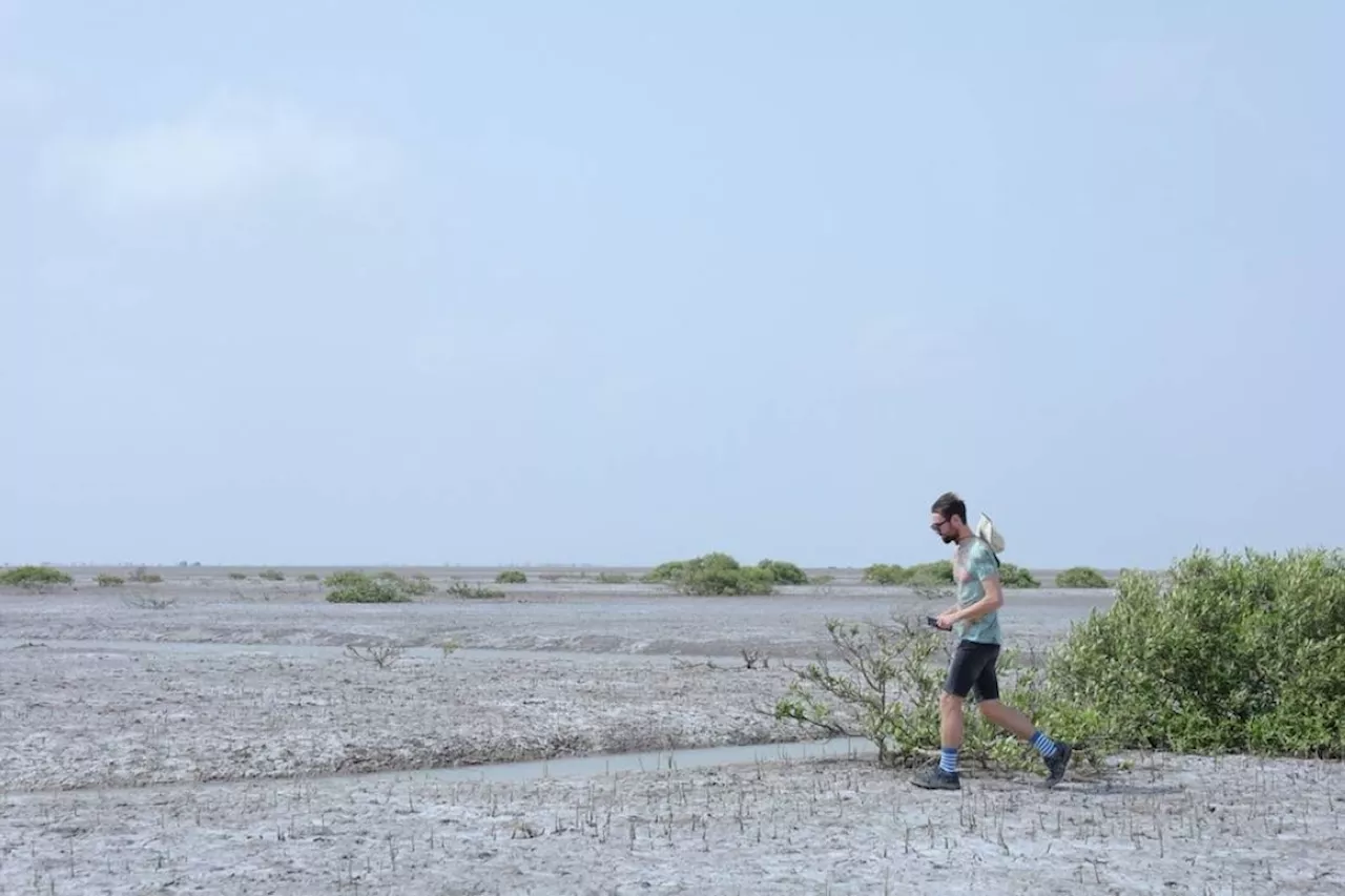 Nature-based solutions are still misunderstood