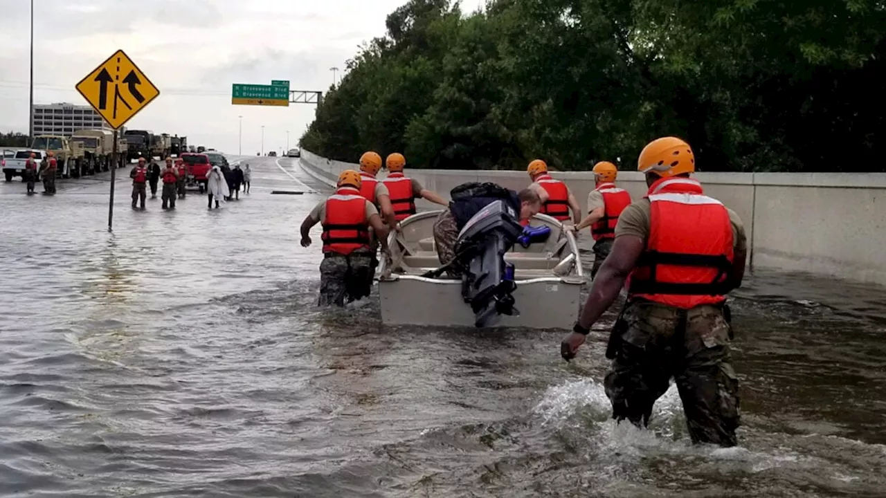 Climate Disasters Hit the Brain Before Babies Are Even Born, Study Suggests