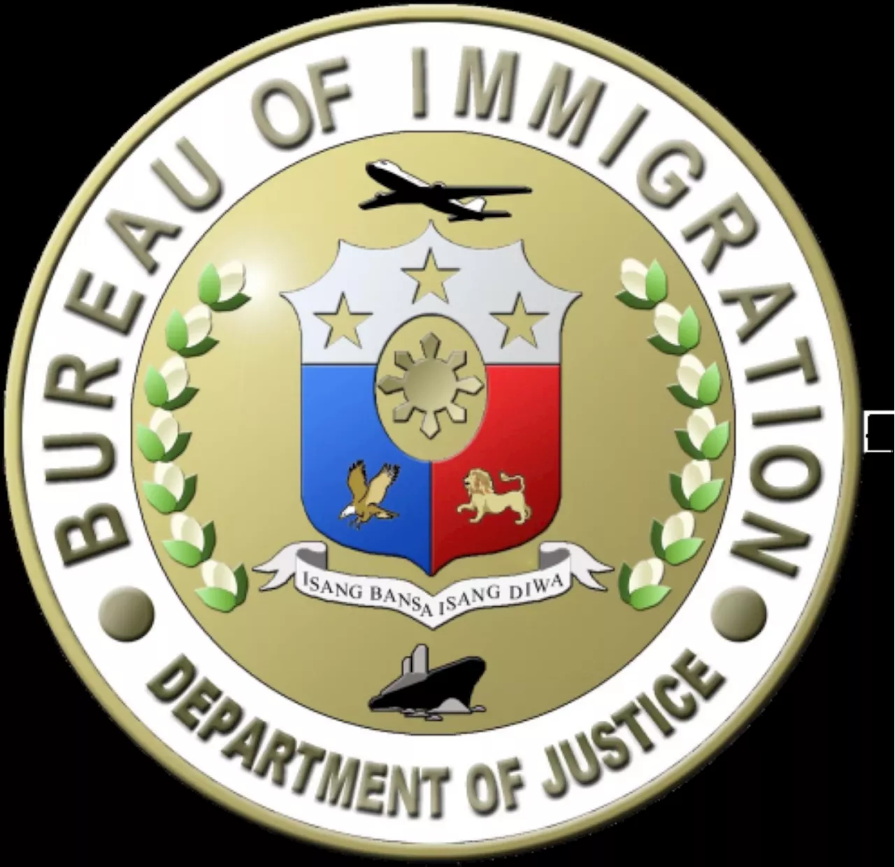 Fugitive Chinese national turned over to China -- BI