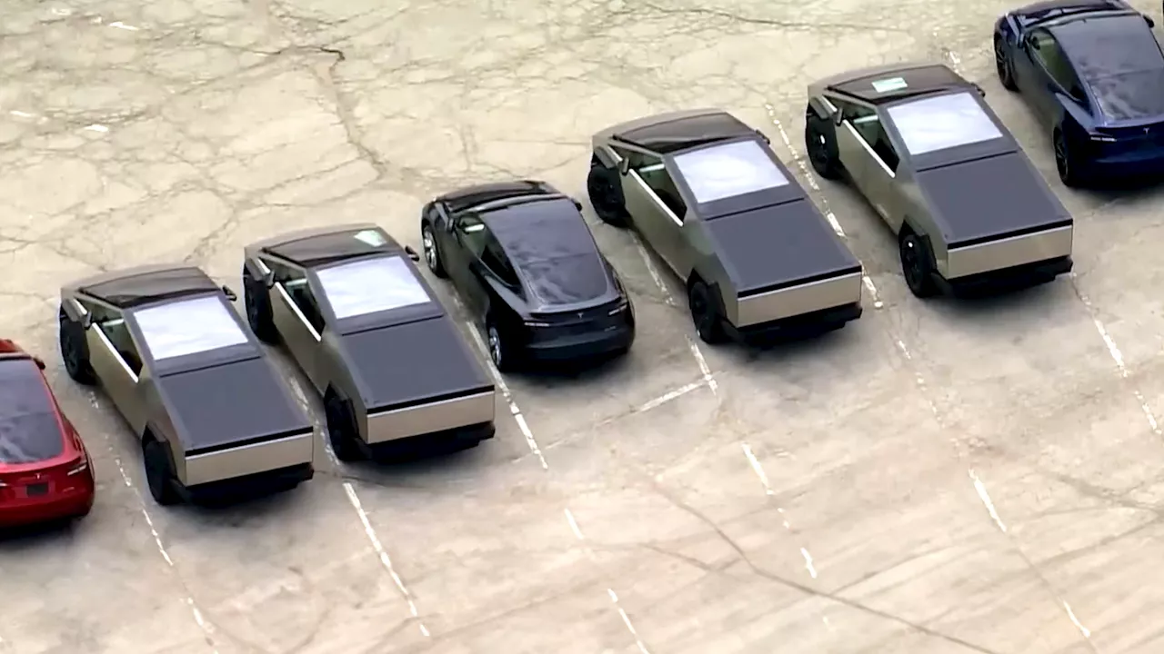 Tesla Keeps Stashing EVs In Mall Parking Lot And The Pile Keeps Growing