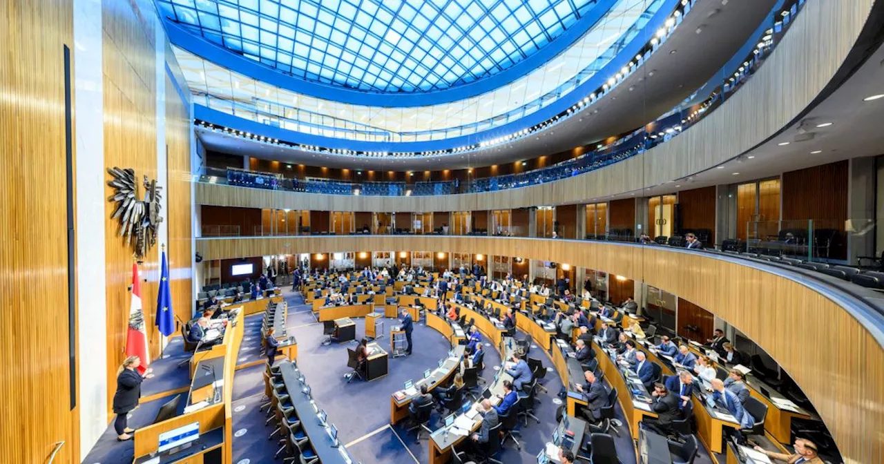 Nach Amoklauf versichert Regierung im Parlament: Waffengesetz wird strenger