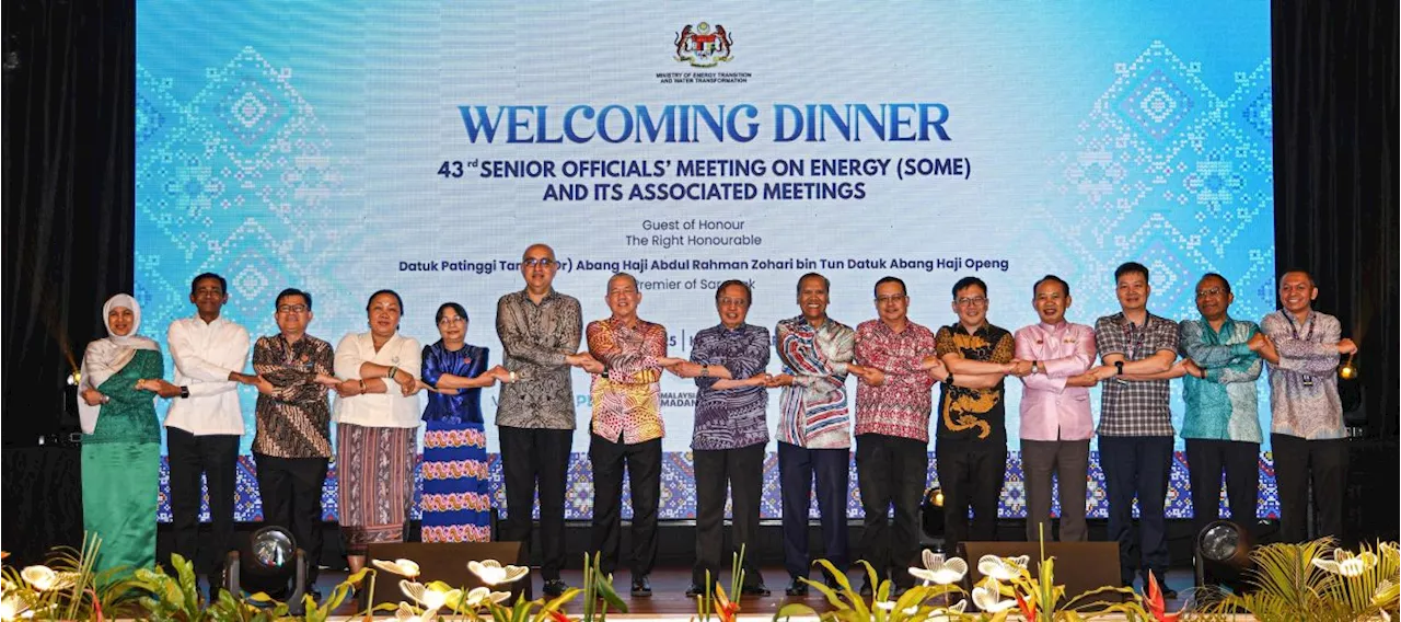 APG will boost regional power connectivity, energy security, says Fadillah