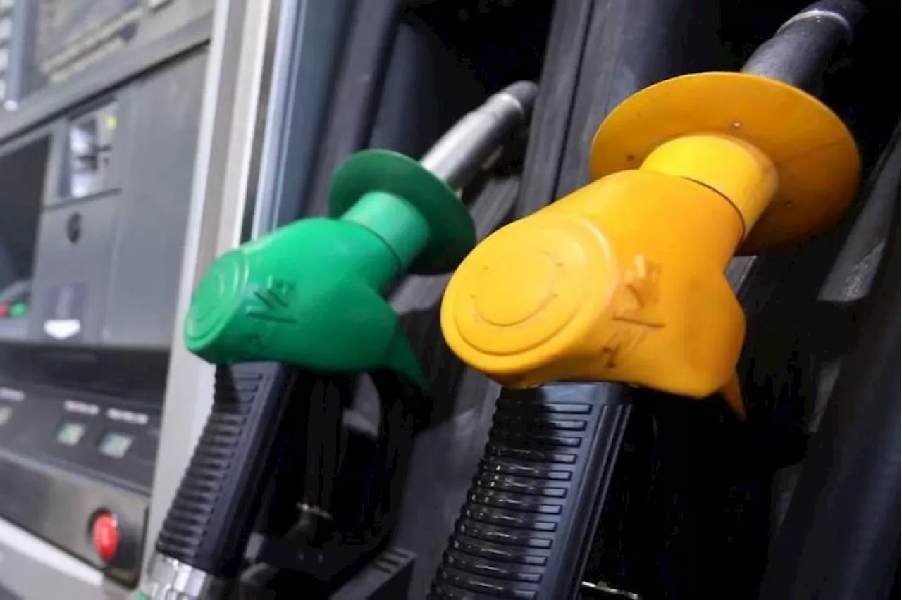 RON95 petrol subsidy rationalisation to proceed, says Anwar