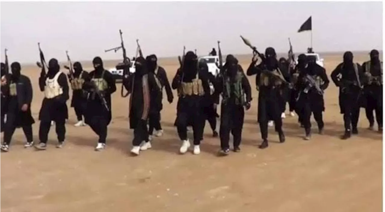 Call them terrorists, not herders, north-central group tells FG over Benue killings