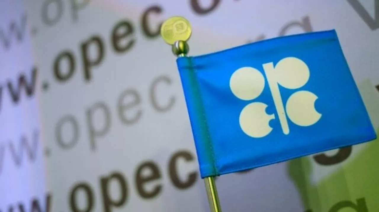 OPEC: Global oil demand growth for 2025, 2026 remain unchanged