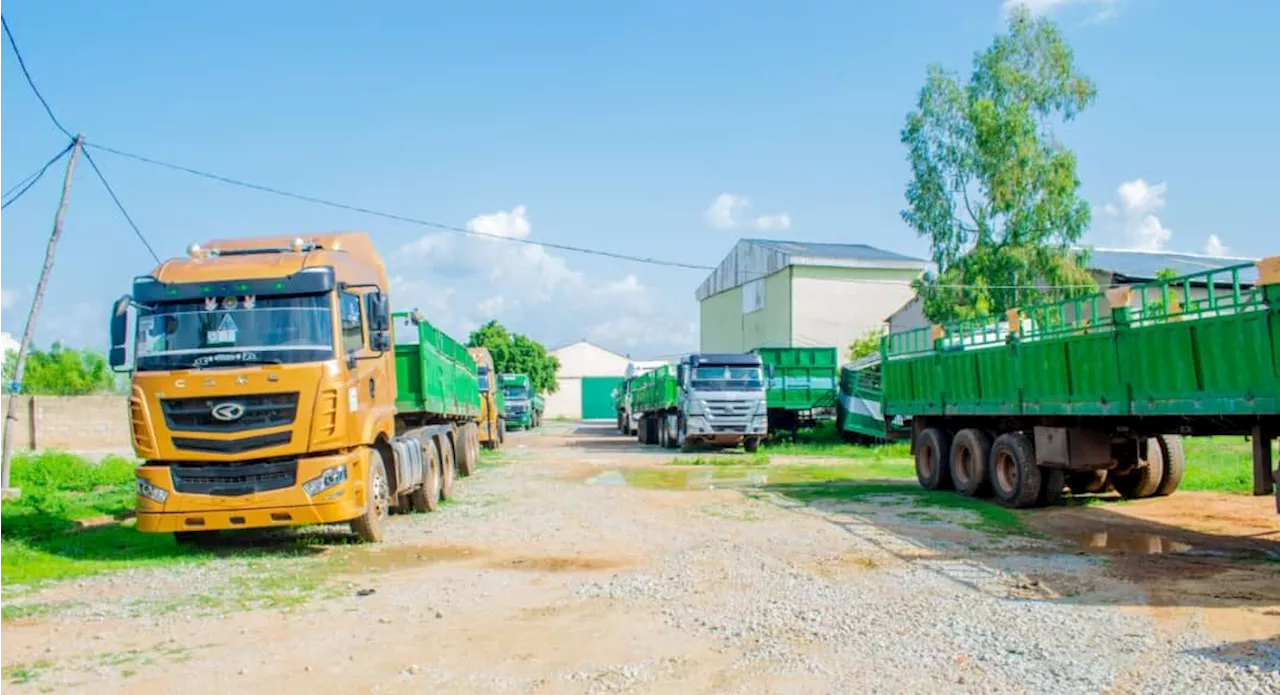 China to eliminate tariffs on imports from African countries