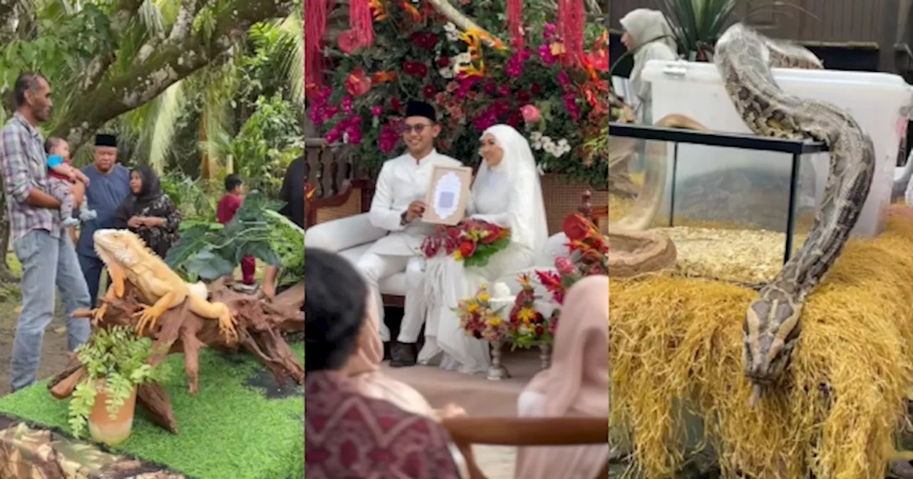 [VIDEO] Pasangan Raja Sehari Siap Buat Petting Zoo Di Majlis Perkahwinan Mereka