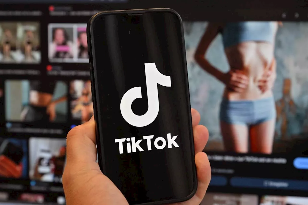 Despite law, US TikTok ban likely to remain on hold