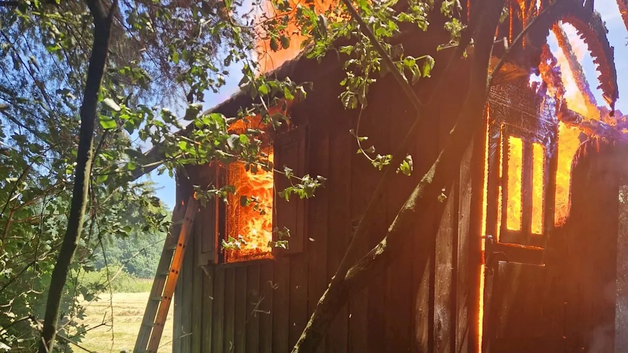 Möhlin: Bienenhaus im Wald steht in Vollbrand