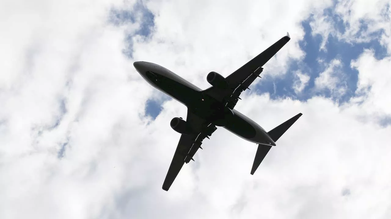 Florida man posed as flight attendant to score dozens of free flights: officials