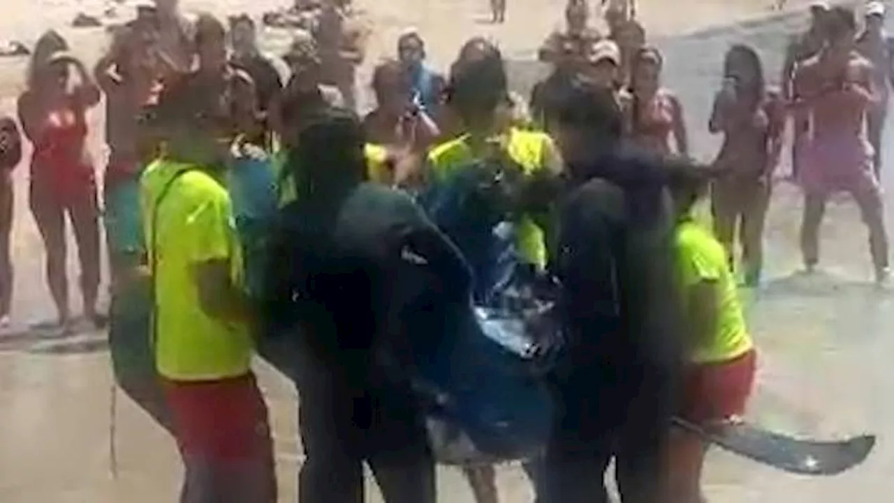  'Ich dachte, es sei ein Hai' – Alarm auf Mallorca