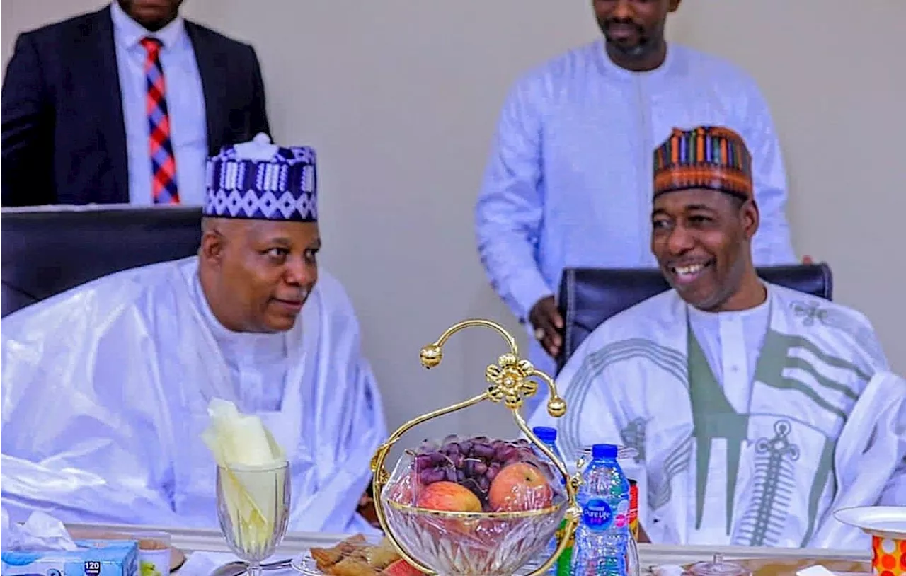 Zulum’s loyalty is to Shettima, not Tinubu – APC group reveals