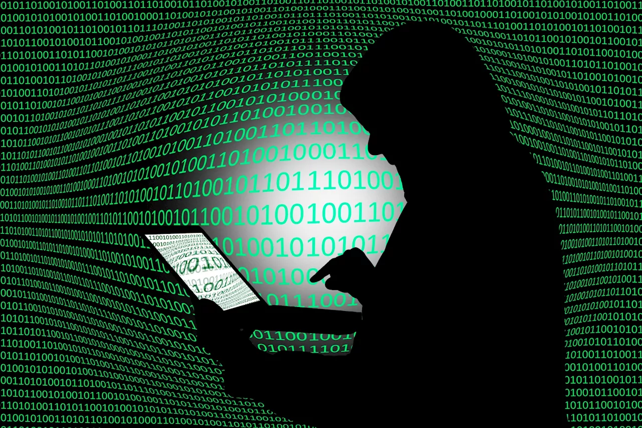 Conflit Israël-Iran : qui sont les 'Predatory Sparrow', ces hackers qui mènent des attaques informatiques contre le régime iranien ?