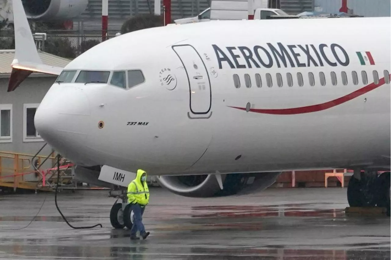 NTSB urges quick fix on Boeing plane engines to prevent smoke from filling cabin after a bird strike