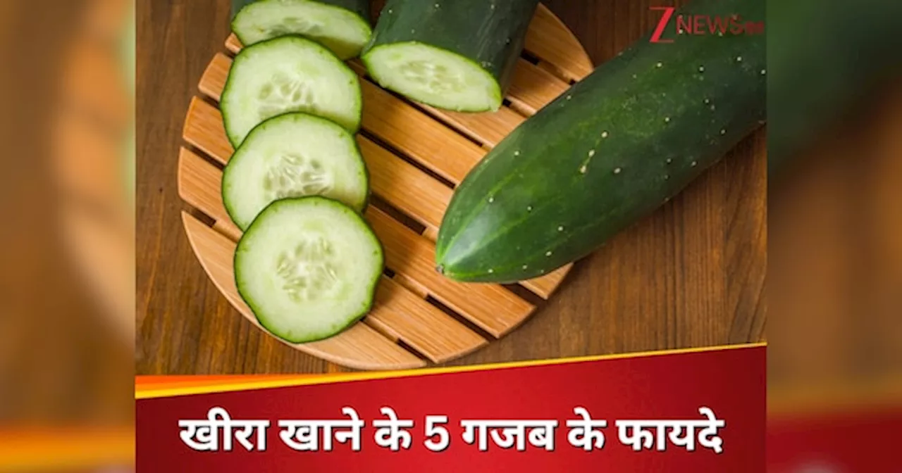 कब्ज से लेकर डायबिटीज तक, खीरा निकला ऑल-इन-वन सुपरस्टार! मिलेंगे 5 गजब के फायदे