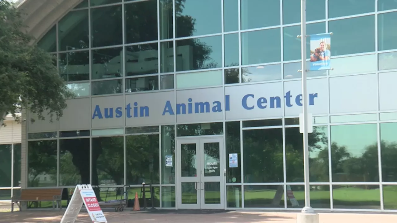 Austin Animal Center working on notification changes for animals at risk of euthanasia
