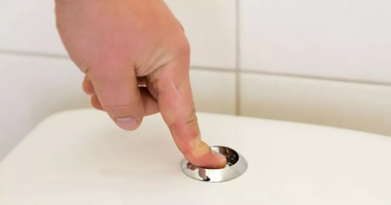 ALERTA: por qué hay que CERRAR sí o sí la tapa del INODORO antes de tirar la CADENA