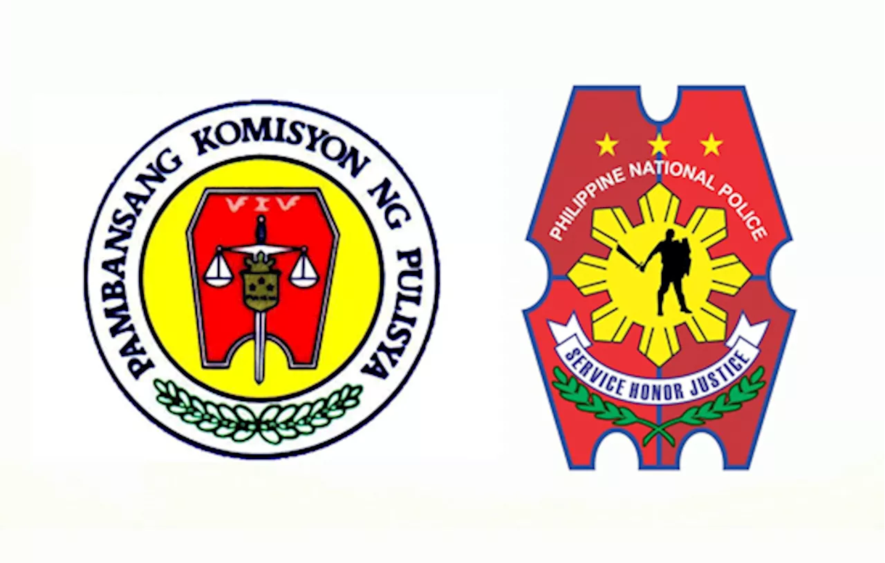 Over 8,000 pass 2025 PNP entrance exams