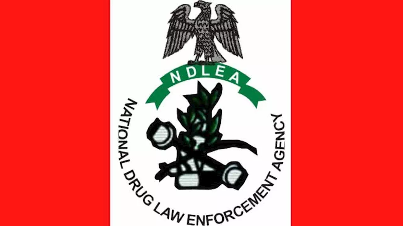 NDLEA rehabilitates 33 drug users in Imo