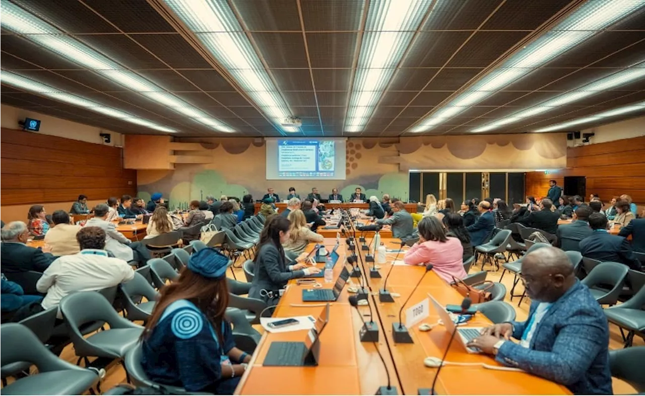 Ex-WHO adviser urges African nations to develop policy for traditional medicine