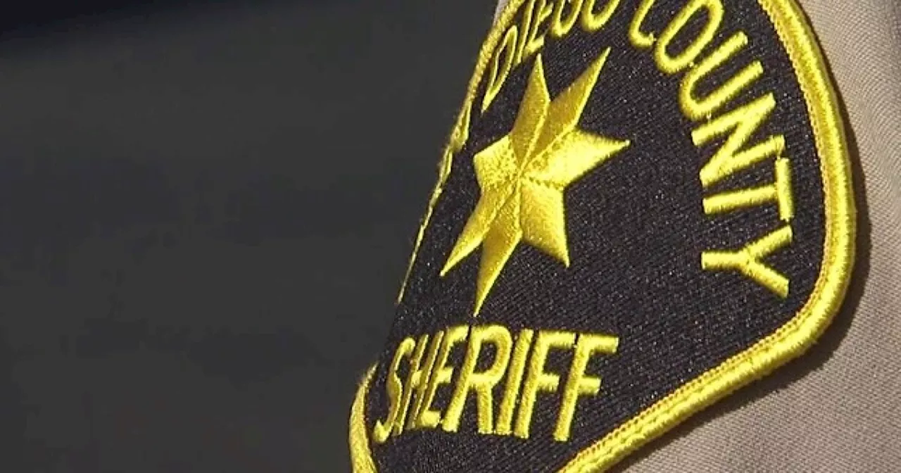 144 weapons turned into Sheriff's Office at San Marcos gun safety event