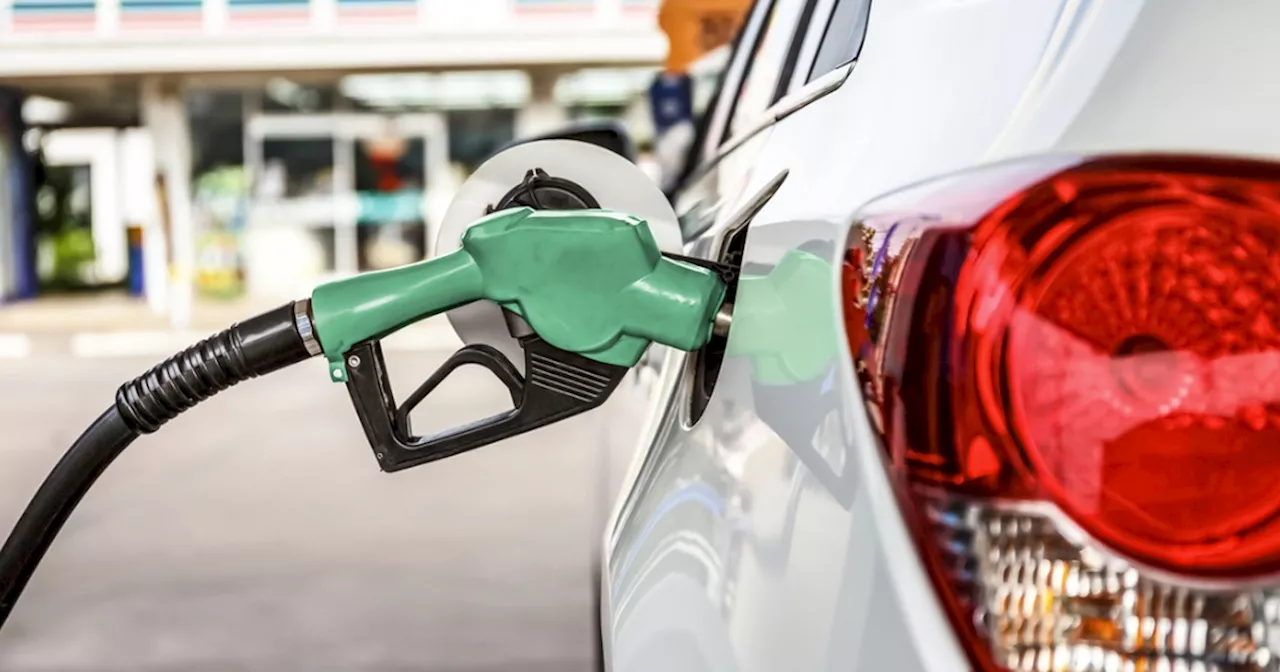 Benzin- og dieselbilejere skal holde øje ved pumpen: Så meget er prisen steget